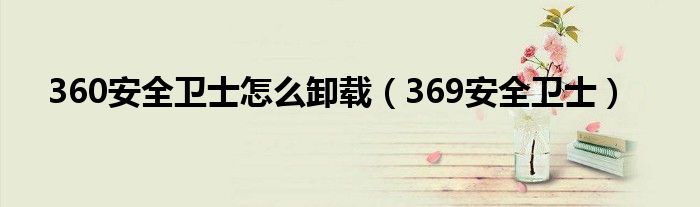 360安全衛(wèi)士怎么卸載（369安全衛(wèi)士）
