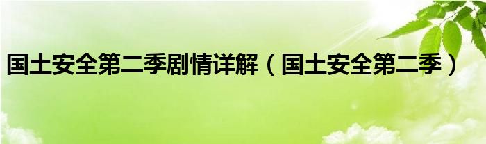 國土安全第二季劇情詳解（國土安全第二季）