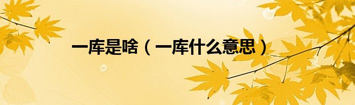 一庫是啥（一庫什么意思）