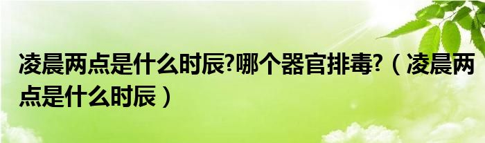凌晨兩點是什么時辰?哪個器官排毒?（凌晨兩點是什么時辰）