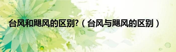 臺風(fēng)和颶風(fēng)的區(qū)別?（臺風(fēng)與颶風(fēng)的區(qū)別）