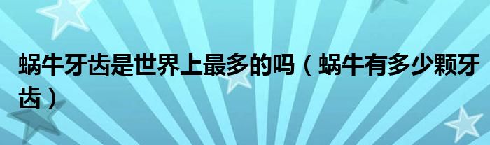 蝸牛牙齒是世界上最多的嗎（蝸牛有多少顆牙齒）