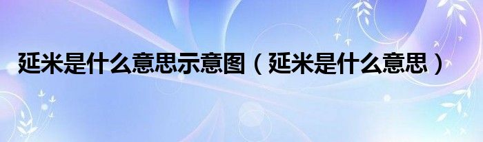 延米是什么意思示意圖（延米是什么意思）