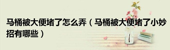 馬桶被大便堵了怎么弄（馬桶被大便堵了小妙招有哪些）