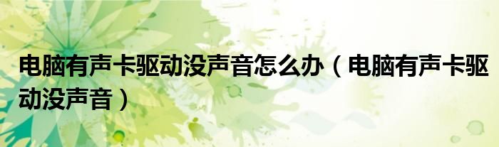 電腦有聲卡驅(qū)動沒聲音怎么辦（電腦有聲卡驅(qū)動沒聲音）