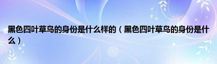 黑色四葉草鳥的身份是什么樣的（黑色四葉草鳥的身份是什么）