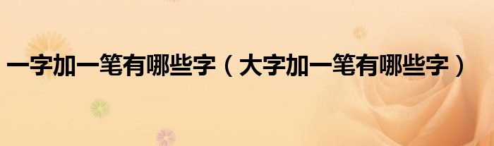 一字加一筆有哪些字（大字加一筆有哪些字）