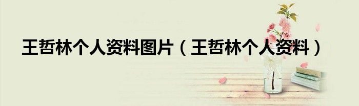 王哲林個(gè)人資料圖片（王哲林個(gè)人資料）