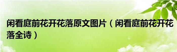 閑看庭前花開花落原文圖片（閑看庭前花開花落全詩）