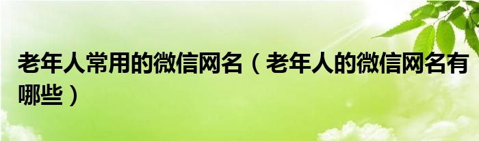 老年人常用的微信網(wǎng)名（老年人的微信網(wǎng)名有哪些）