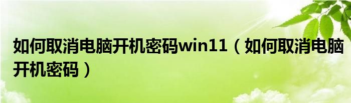 如何取消電腦開機(jī)密碼win11（如何取消電腦開機(jī)密碼）