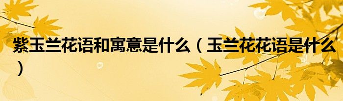 紫玉蘭花語和寓意是什么（玉蘭花花語是什么）