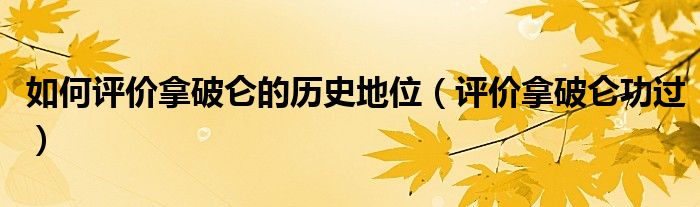 如何評(píng)價(jià)拿破侖的歷史地位（評(píng)價(jià)拿破侖功過）