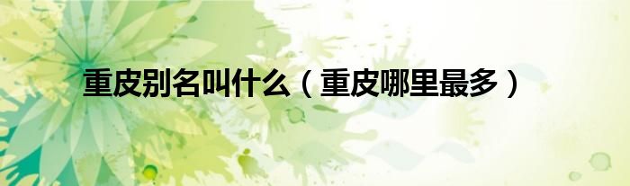 重皮別名叫什么（重皮哪里最多）