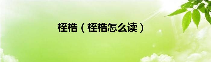 桎梏（桎梏怎么讀）