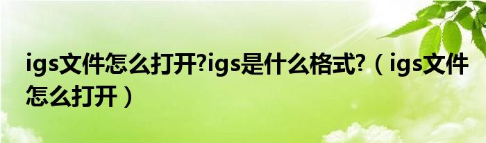 igs文件怎么打開(kāi)?igs是什么格式?（igs文件怎么打開(kāi)）