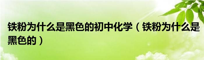 鐵粉為什么是黑色的初中化學(xué)（鐵粉為什么是黑色的）