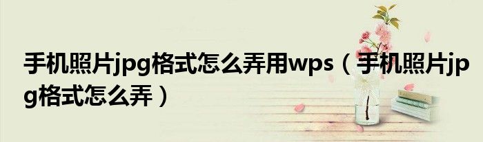 手機照片jpg格式怎么弄用wps（手機照片jpg格式怎么弄）