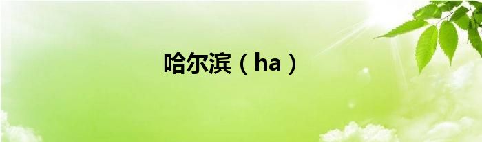 哈爾濱（ha）
