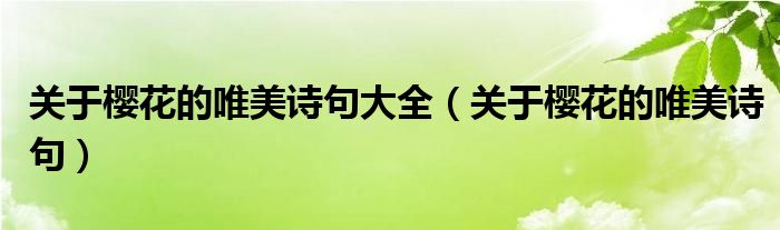 關(guān)于櫻花的唯美詩句大全（關(guān)于櫻花的唯美詩句）