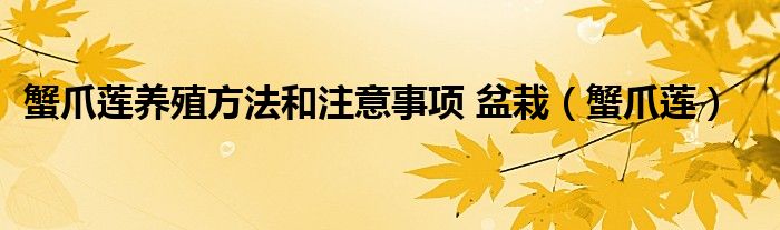 蟹爪蓮養(yǎng)殖方法和注意事項(xiàng) 盆栽（蟹爪蓮）