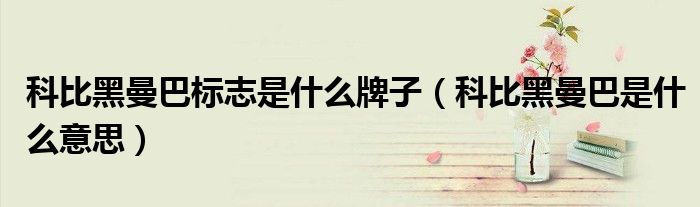 科比黑曼巴標志是什么牌子（科比黑曼巴是什么意思）