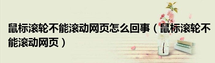 鼠標(biāo)滾輪不能滾動(dòng)網(wǎng)頁(yè)怎么回事（鼠標(biāo)滾輪不能滾動(dòng)網(wǎng)頁(yè)）
