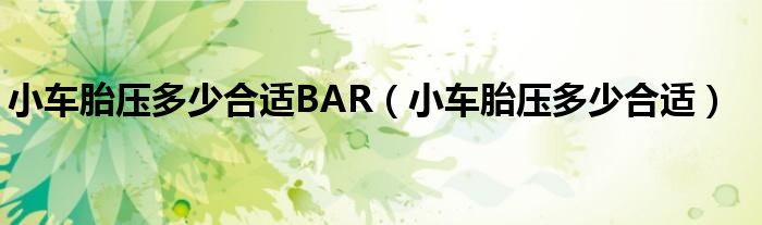 小車胎壓多少合適BAR（小車胎壓多少合適）