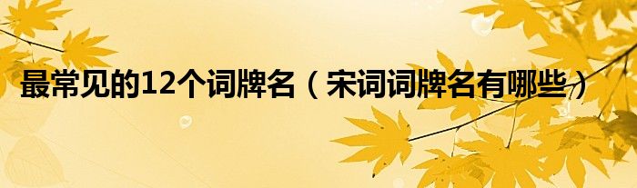 最常見的12個詞牌名（宋詞詞牌名有哪些）