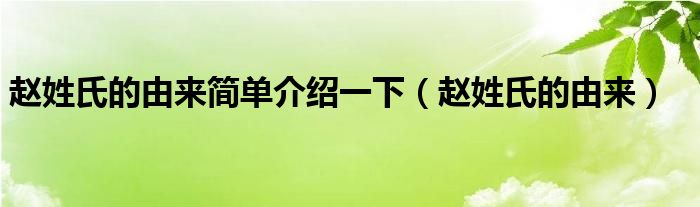 趙姓氏的由來簡單介紹一下（趙姓氏的由來）