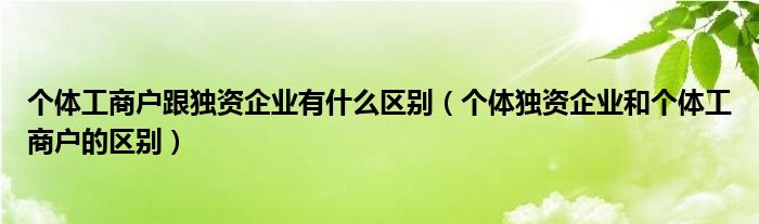 個(gè)體工商戶(hù)跟獨(dú)資企業(yè)有什么區(qū)別（個(gè)體獨(dú)資企業(yè)和個(gè)體工商戶(hù)的區(qū)別）