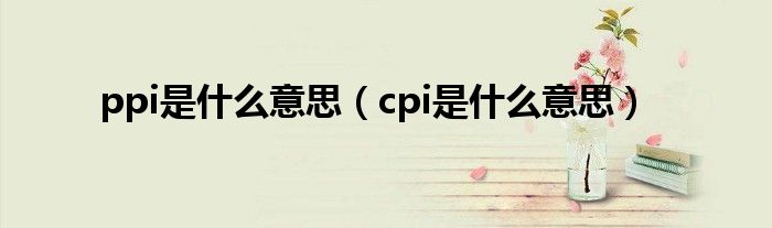 ppi是什么意思（cpi是什么意思）