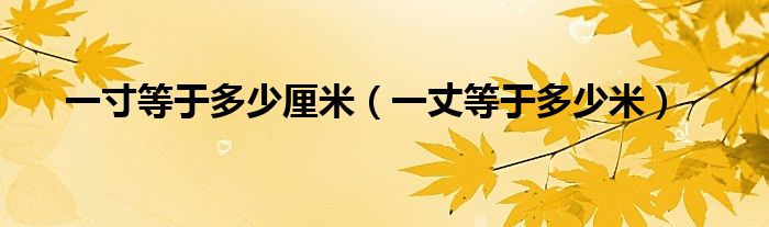 一寸等于多少厘米（一丈等于多少米）