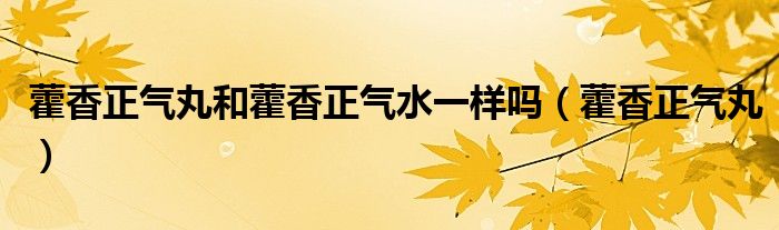 藿香正氣丸和藿香正氣水一樣嗎（藿香正氣丸）