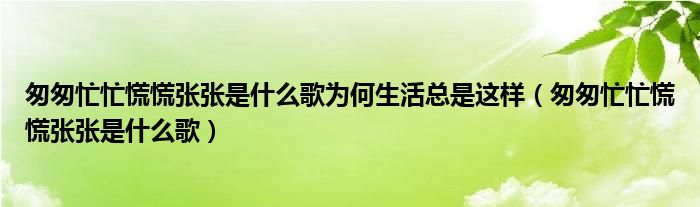 匆匆忙忙慌慌張張是什么歌為何生活總是這樣（匆匆忙忙慌慌張張是什么歌）