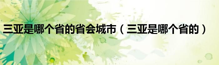三亞是哪個(gè)省的省會城市（三亞是哪個(gè)省的）