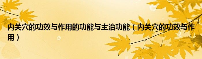 內(nèi)關(guān)穴的功效與作用的功能與主治功能（內(nèi)關(guān)穴的功效與作用）