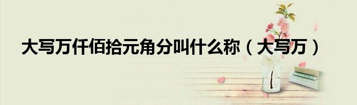 大寫(xiě)萬(wàn)仟佰拾元角分叫什么稱(chēng)（大寫(xiě)萬(wàn)）