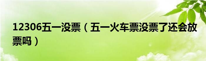 12306五一沒票（五一火車票沒票了還會放票嗎）