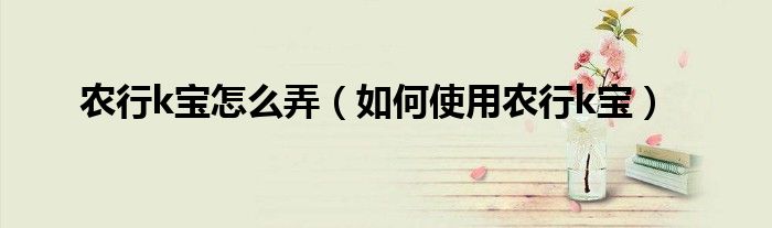 農(nóng)行k寶怎么弄（如何使用農(nóng)行k寶）
