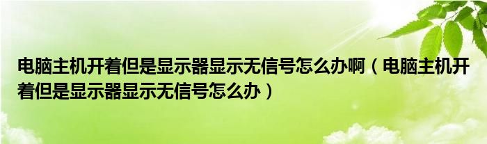 電腦主機(jī)開(kāi)著但是顯示器顯示無(wú)信號(hào)怎么辦?。娔X主機(jī)開(kāi)著但是顯示器顯示無(wú)信號(hào)怎么辦）