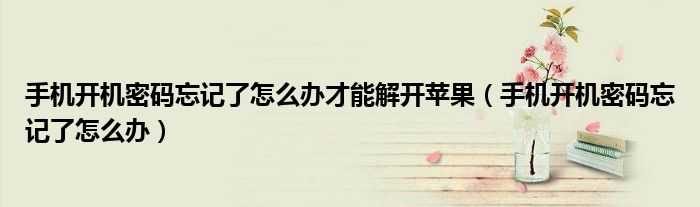 手機開機密碼忘記了怎么辦才能解開蘋果（手機開機密碼忘記了怎么辦）