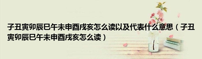 子丑寅卯辰巳午未申酉戌亥怎么讀以及代表什么意思（子丑寅卯辰巳午未申酉戌亥怎么讀）