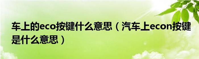 車上的eco按鍵什么意思（汽車上econ按鍵是什么意思）