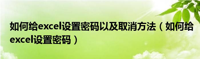 如何給excel設(shè)置密碼以及取消方法（如何給excel設(shè)置密碼）