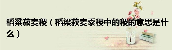 稻粱菽麥稷（稻梁菽麥黍稷中的稷的意思是什么）