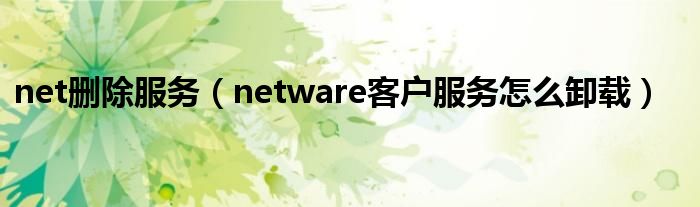 net刪除服務(wù)（netware客戶服務(wù)怎么卸載）