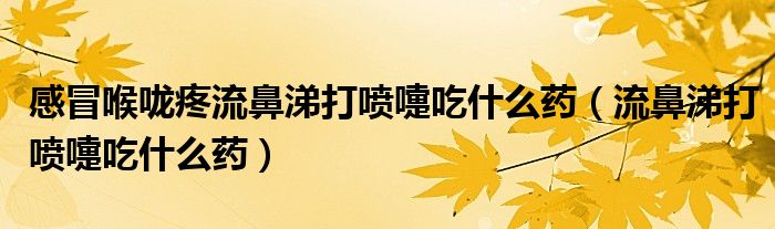感冒喉嚨疼流鼻涕打噴嚏吃什么藥（流鼻涕打噴嚏吃什么藥）