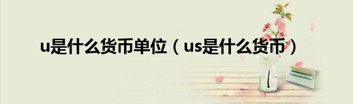 u是什么貨幣單位（us是什么貨幣）