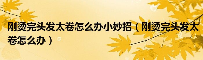 剛燙完頭發(fā)太卷怎么辦小妙招（剛燙完頭發(fā)太卷怎么辦）